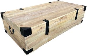 Recycled Elm and Iron Trunk DL070
