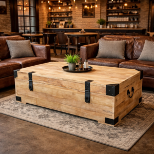 Recycled Elm and Iron Trunk DL070